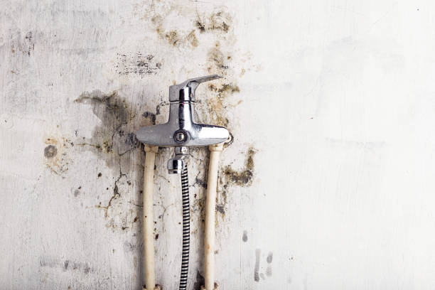 Professional Mold Removal in Saratoga Springs, NY