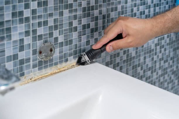 Best Local Mold Removal Service  in Saratoga Springs, NY