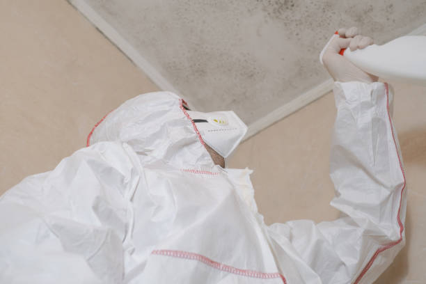Mold Testing and Removal in Saratoga Springs, NY