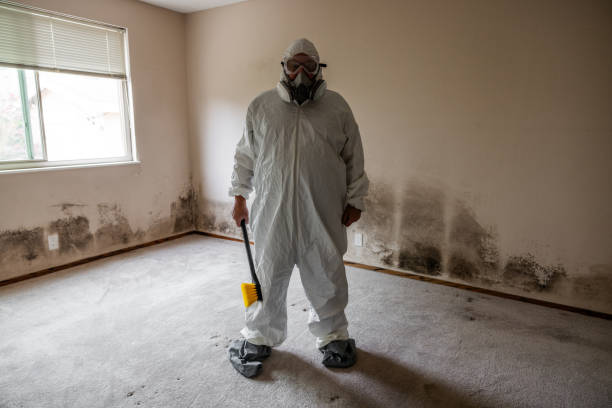 Best Attic Mold Removal  in Saratoga Springs, NY